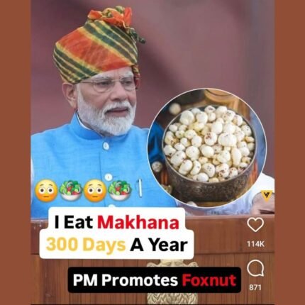 Foxnuts (Makhana) from India | Axten Agro Pvt. Ltd. - Top Exporter